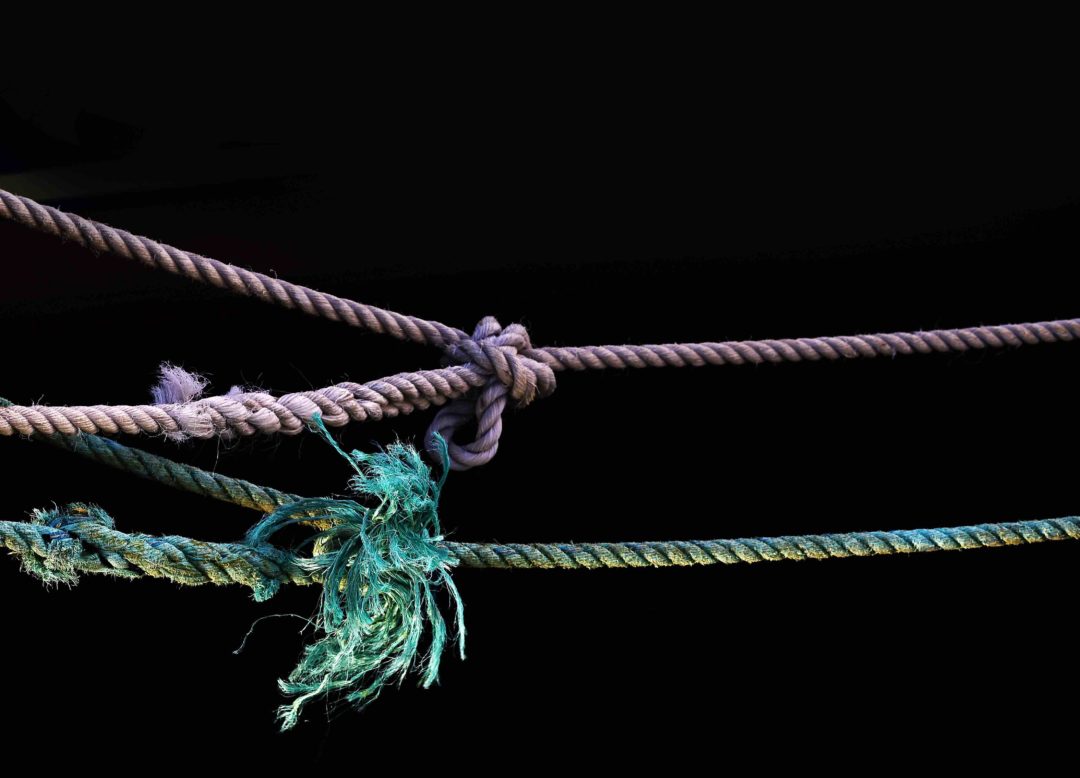 we learn the rope of life by untying its knotes vygotsky